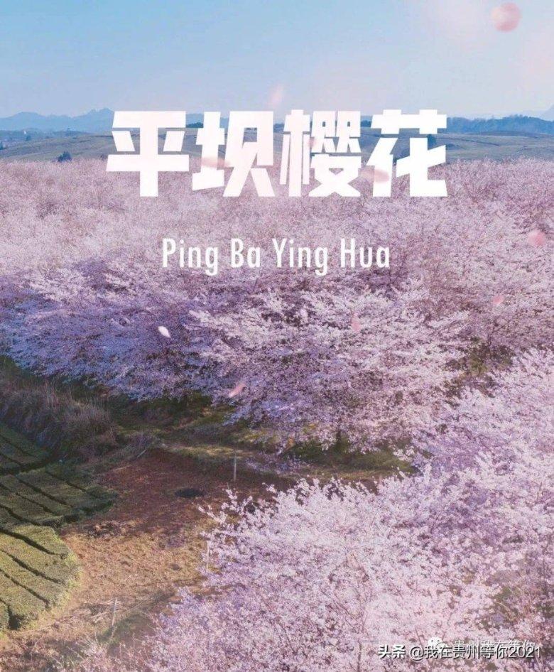 画线接蓝色球