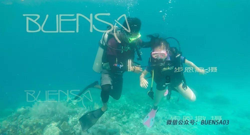 战锤：全面战争