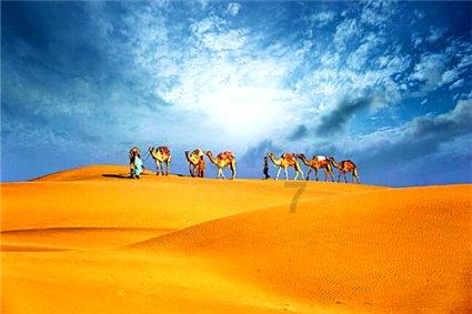 雪后,这片1500年的古楠木森林美成了“童话世界”